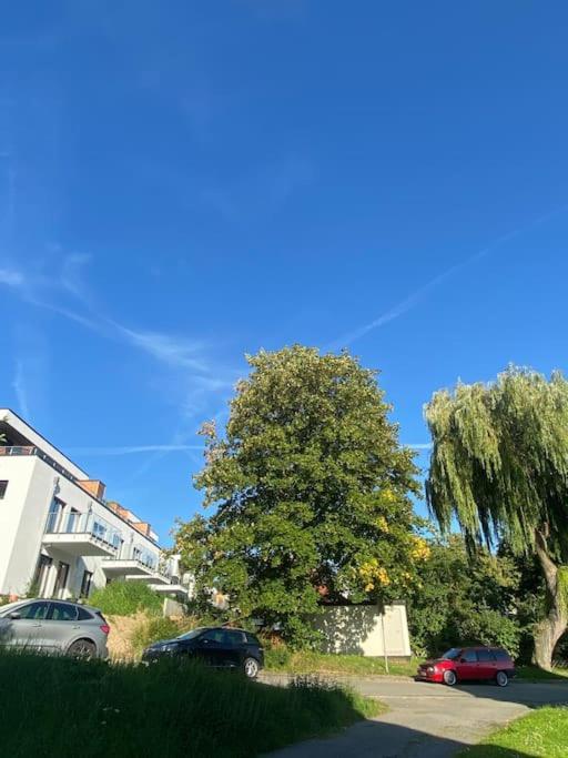 Zentral & Chic - Apartment Harzperle 2 Bad Harzburg Luaran gambar